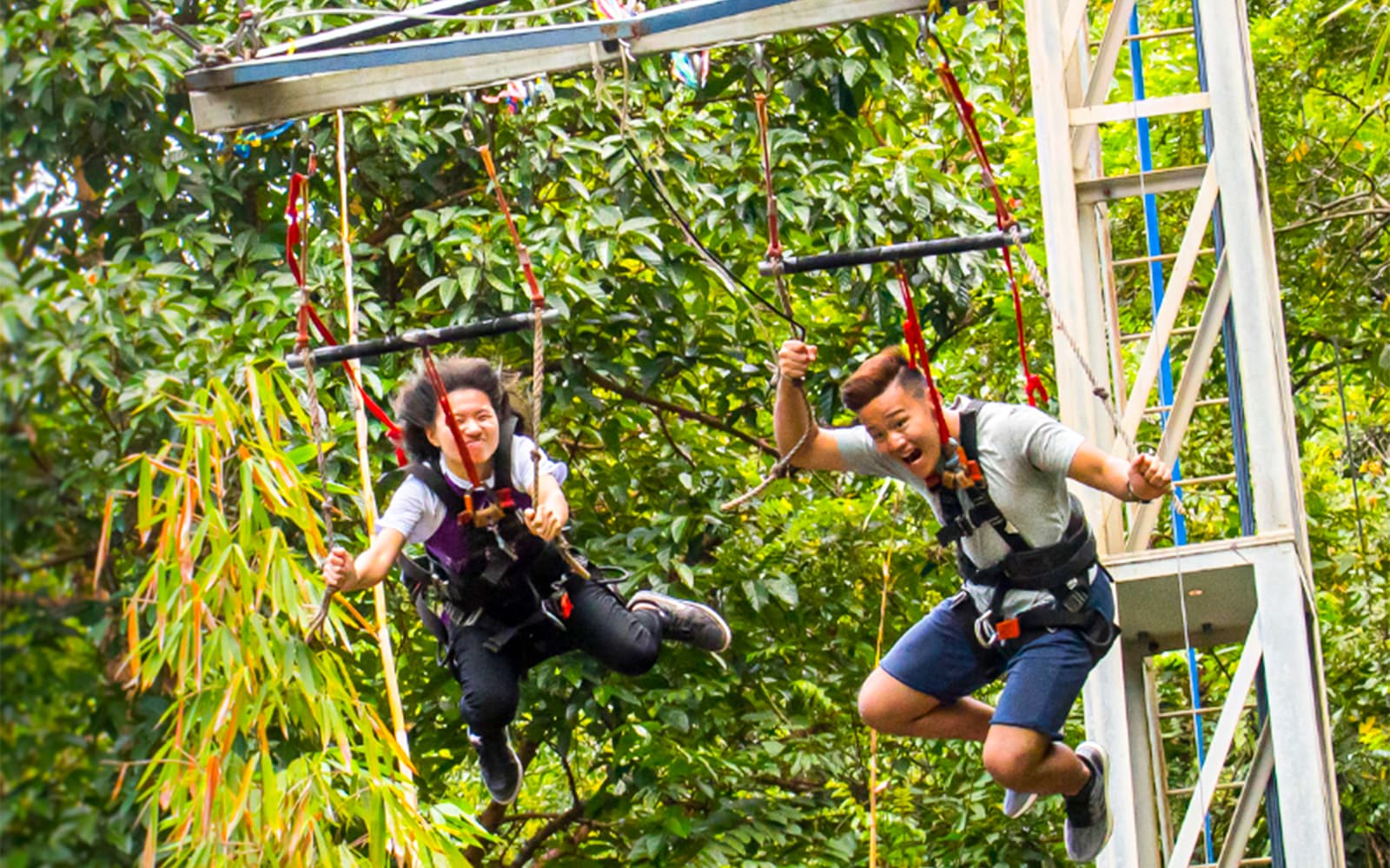 Combo: ESCAPE Penang + Tropical Spice Garden Tickets in Penang - Features | TickYourList