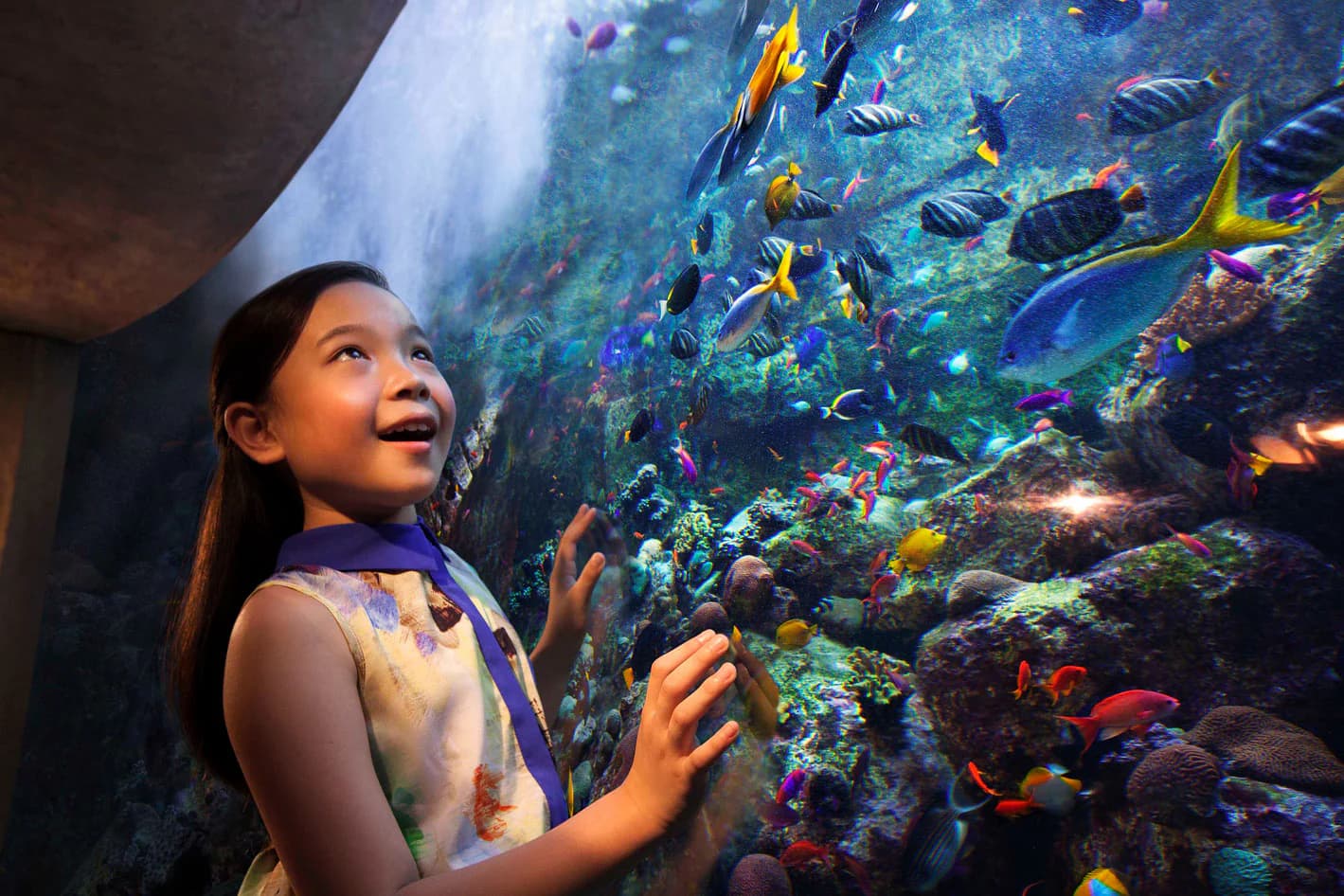 Lost World Aquarium ticket in Atlantis Dubai