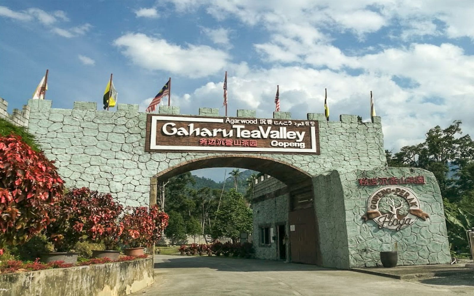 Day Trip to Gaharu Tea Valley in Perak experience tickets in Perak | TickYourList