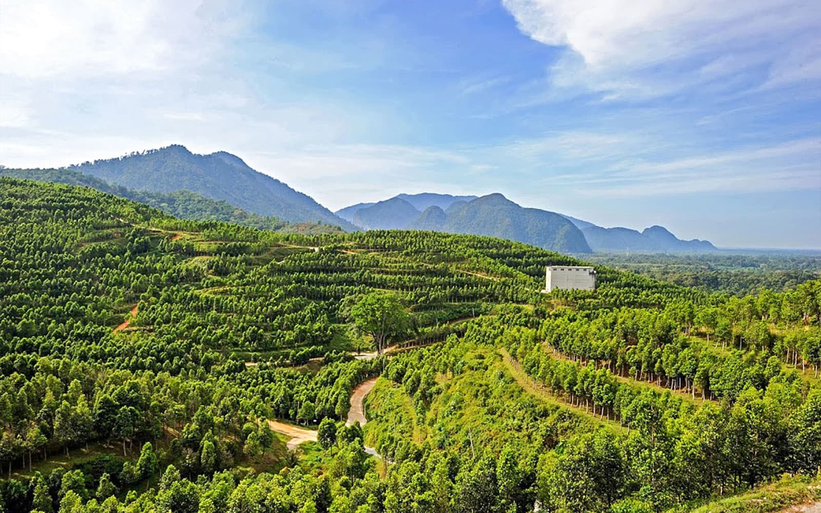 Day Trip to Gaharu Tea Valley in Perak tickets in Perak - Activities | TickYourList
