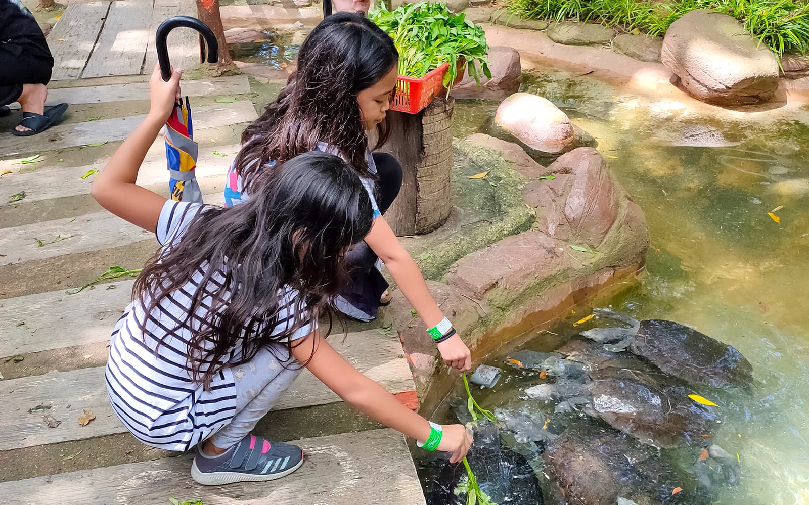 Combo (Save 5%): Zoo Melaka + Melaka Crocodile & Recreational Park Tickets in Melaka - Features | TickYourList