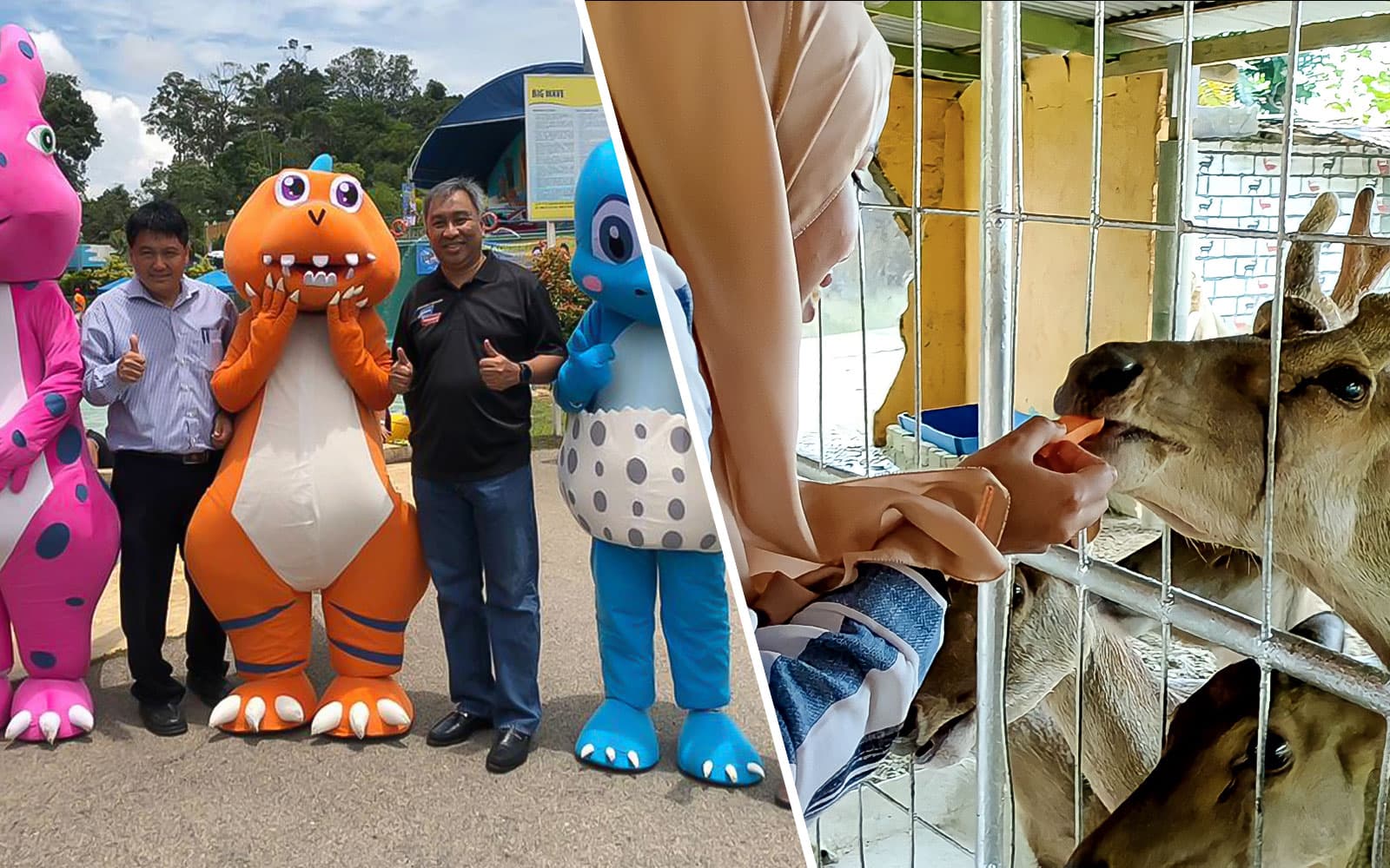 Combo: Melaka Wonderland Water Theme Park + Melaka Crocodile & Recreational Park Tickets