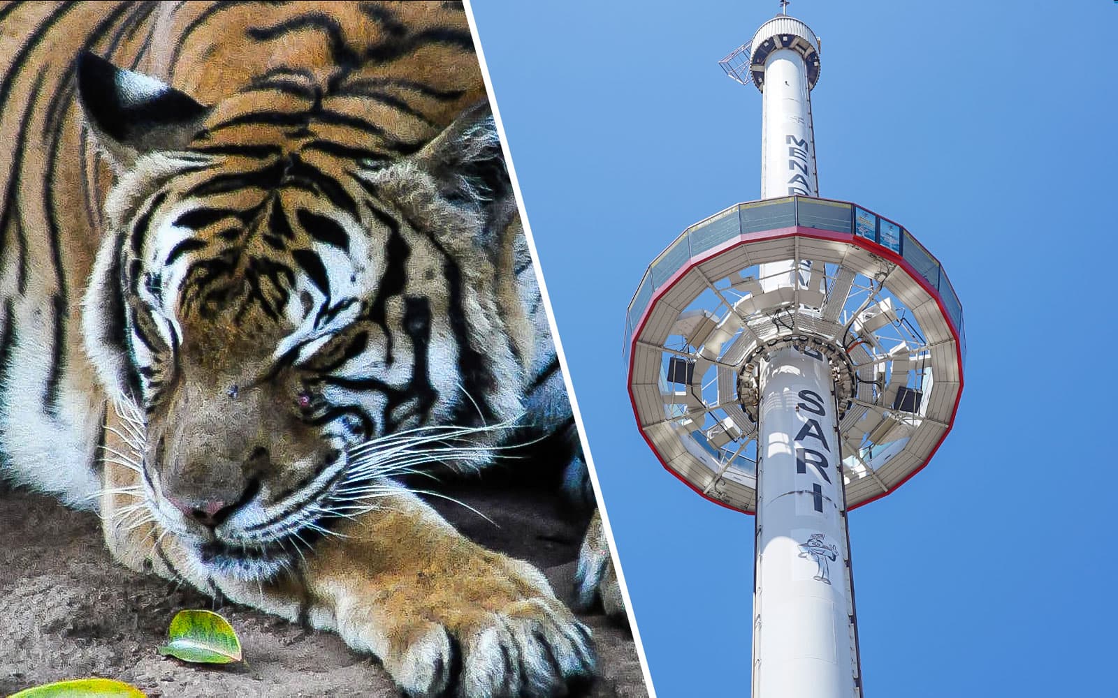 Combo (Save 8%): Zoo Melaka + Menara Taming Sari Tickets