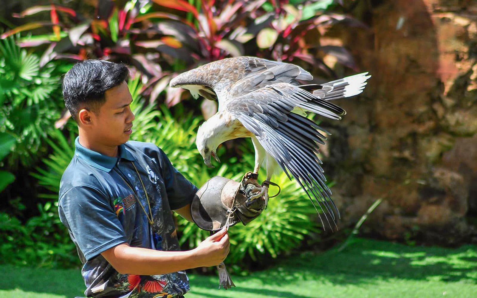 Combo (Save 8%): Zoo Melaka + Menara Taming Sari Tickets in Melaka - Highlights | TickYourList
