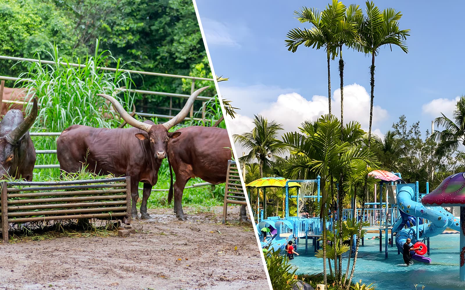 Combo (Save 27%): A'Famosa Melaka + Zoo Melaka Tickets