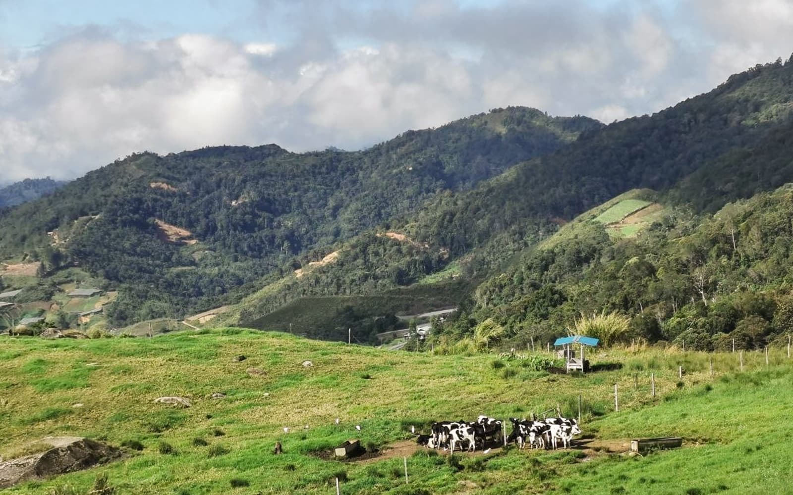 Mount Kinabulu and Kundasang Multi-Day Tour with Transfers tickets in Sabah - Attractions | TickYourList