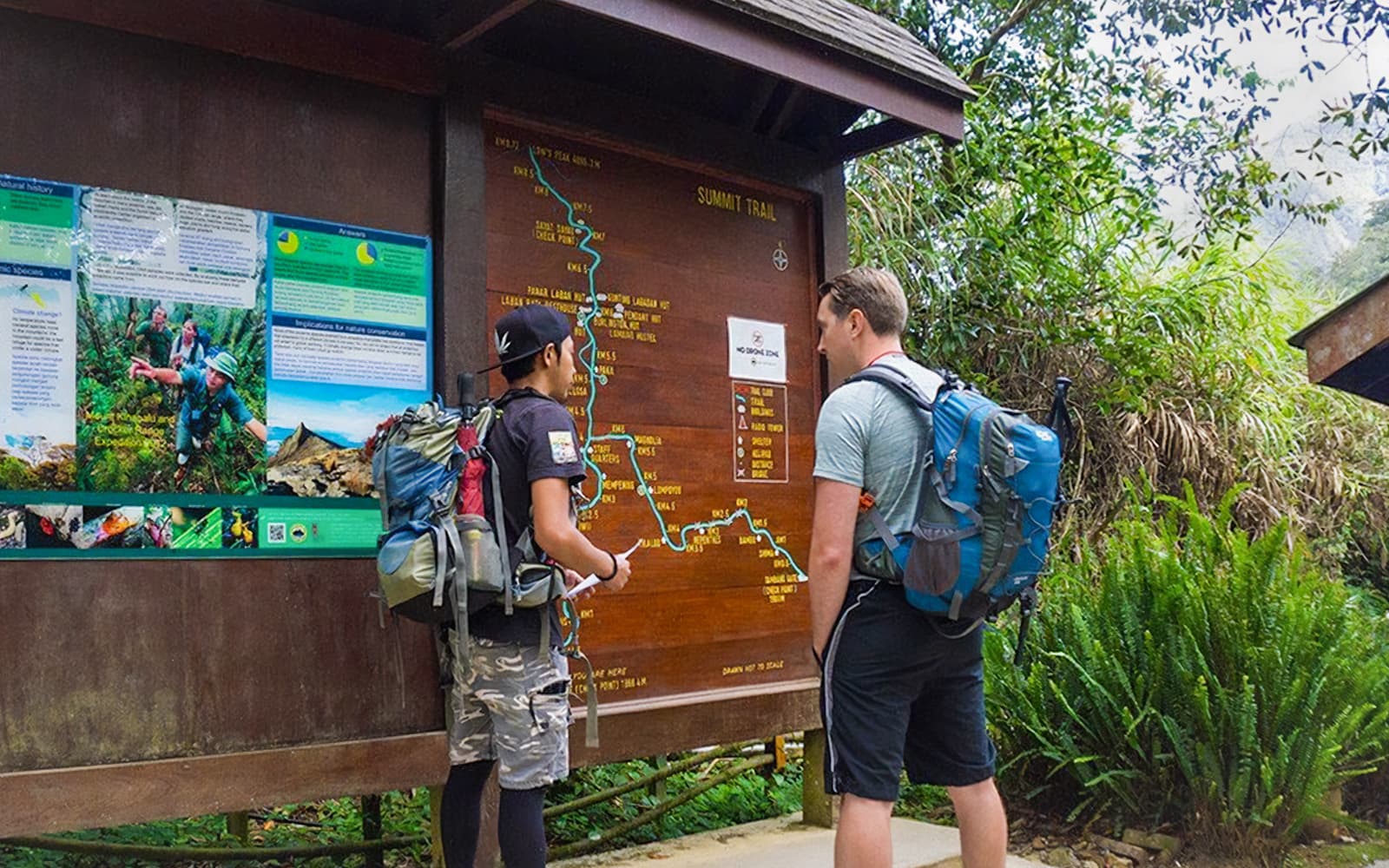 Full-Day Tour of Mount Kinabalu with Desa Dairy Farm & Poring Hot Springs Visit tickets in Sabah - Activities | TickYourList
