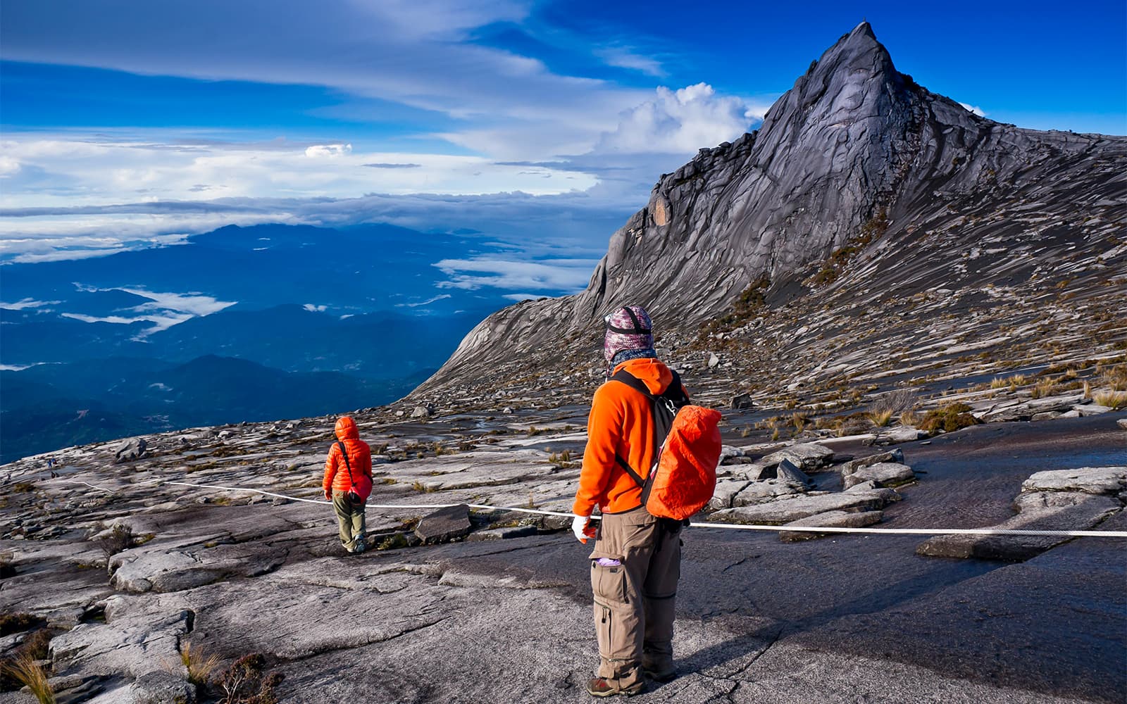 Full-Day Tour of Mount Kinabalu with Desa Dairy Farm & Poring Hot Springs Visit tickets in Sabah - Highlights | TickYourList