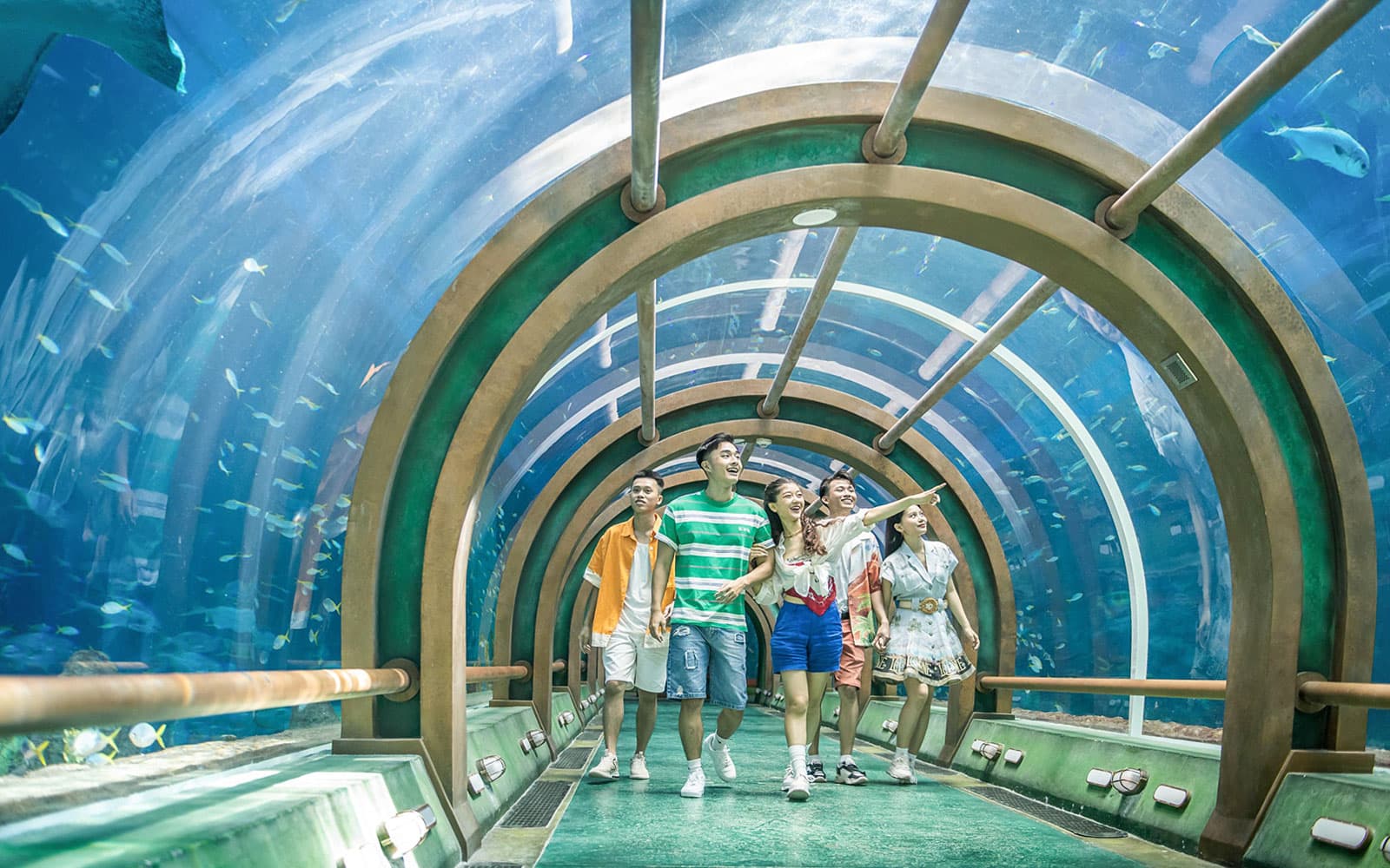 VinWonders Phu Quoc Tickets in Phu Quoc - Features | TickYourList
