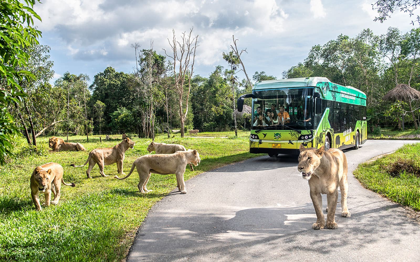 Vinpearl Safari Phu Quoc Tickets in Phu Quoc - Features | TickYourList