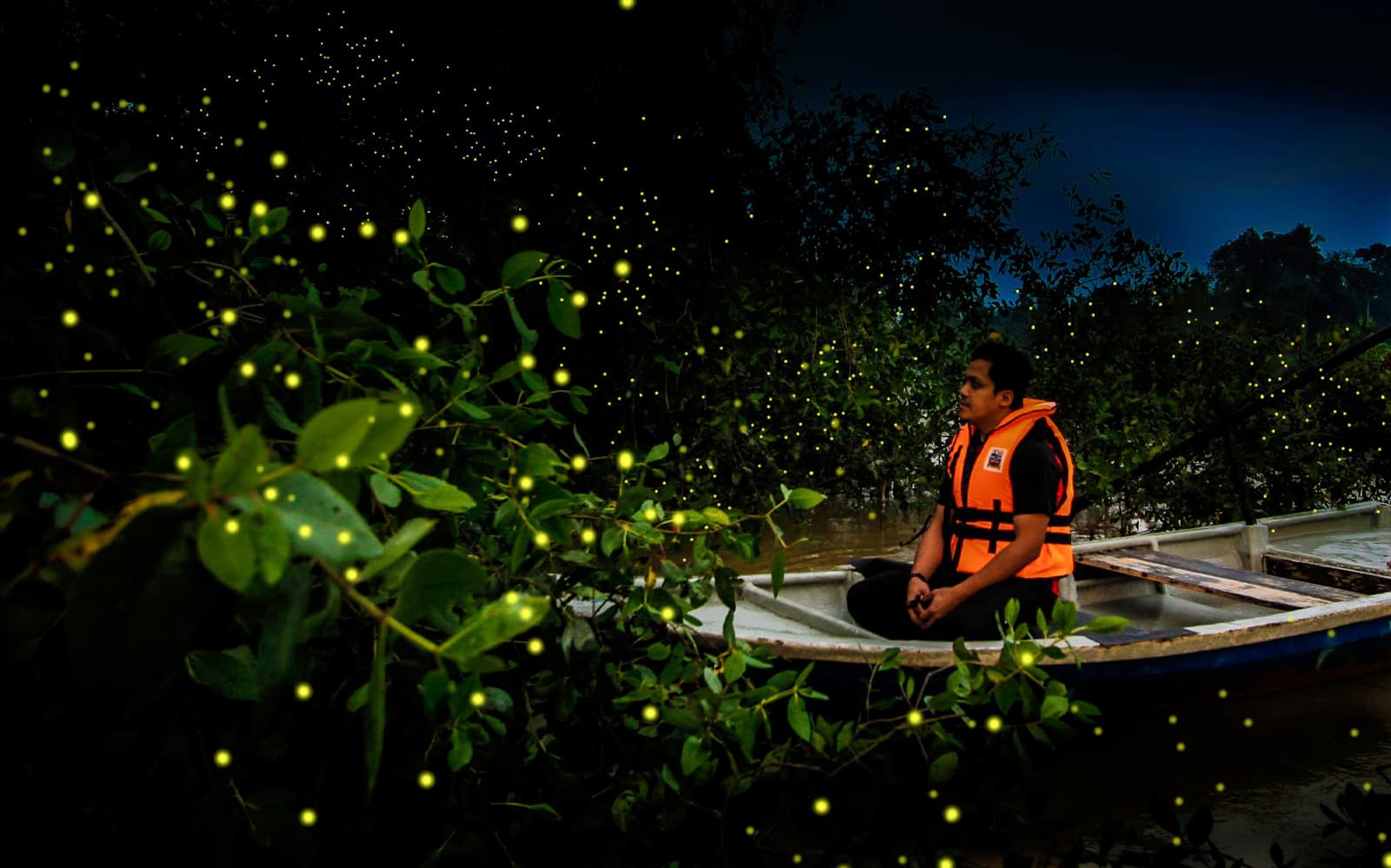 Kuala Selangor's Kampung Kuantan Fireflies Park Tour tickets in Selangor - Explore More | TickYourList