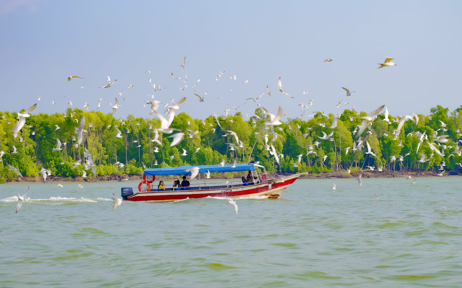 Eagles Feeding Experience in Kuala Selangor tickets in Selangor | TickYourList