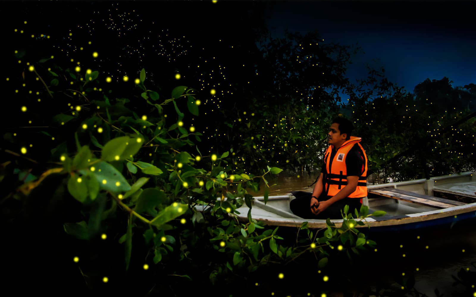 Fireflies Watching Tour in Kuala Selangor