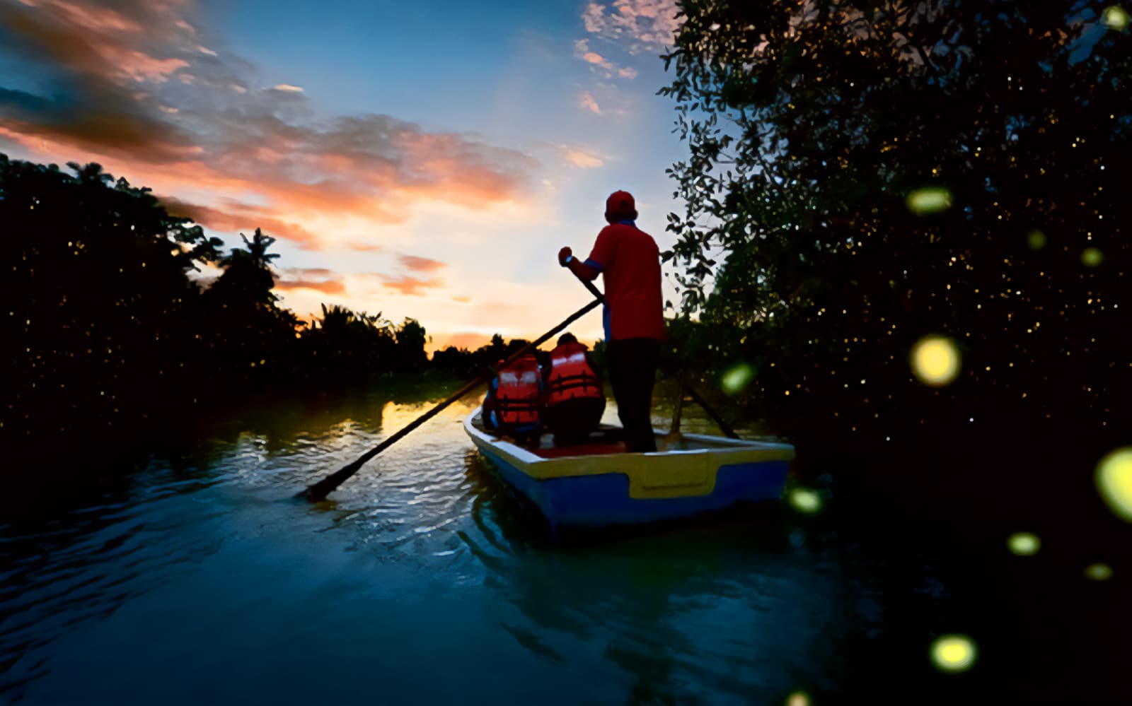 Fireflies Watching Tour in Kuala Selangor tickets in Selangor - Activities | TickYourList