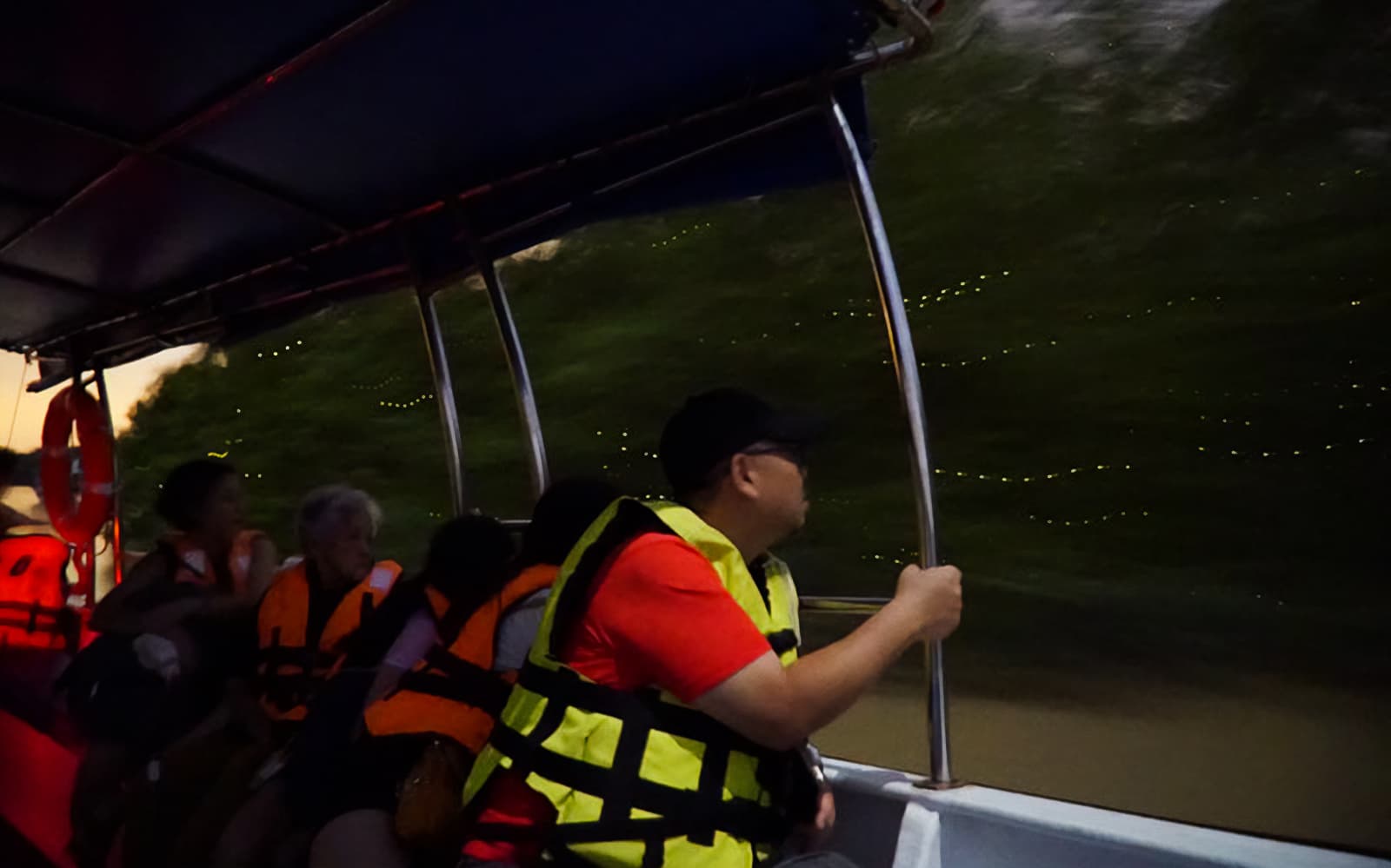 Fireflies Watching Tour in Kuala Selangor tickets in Selangor - Highlights | TickYourList