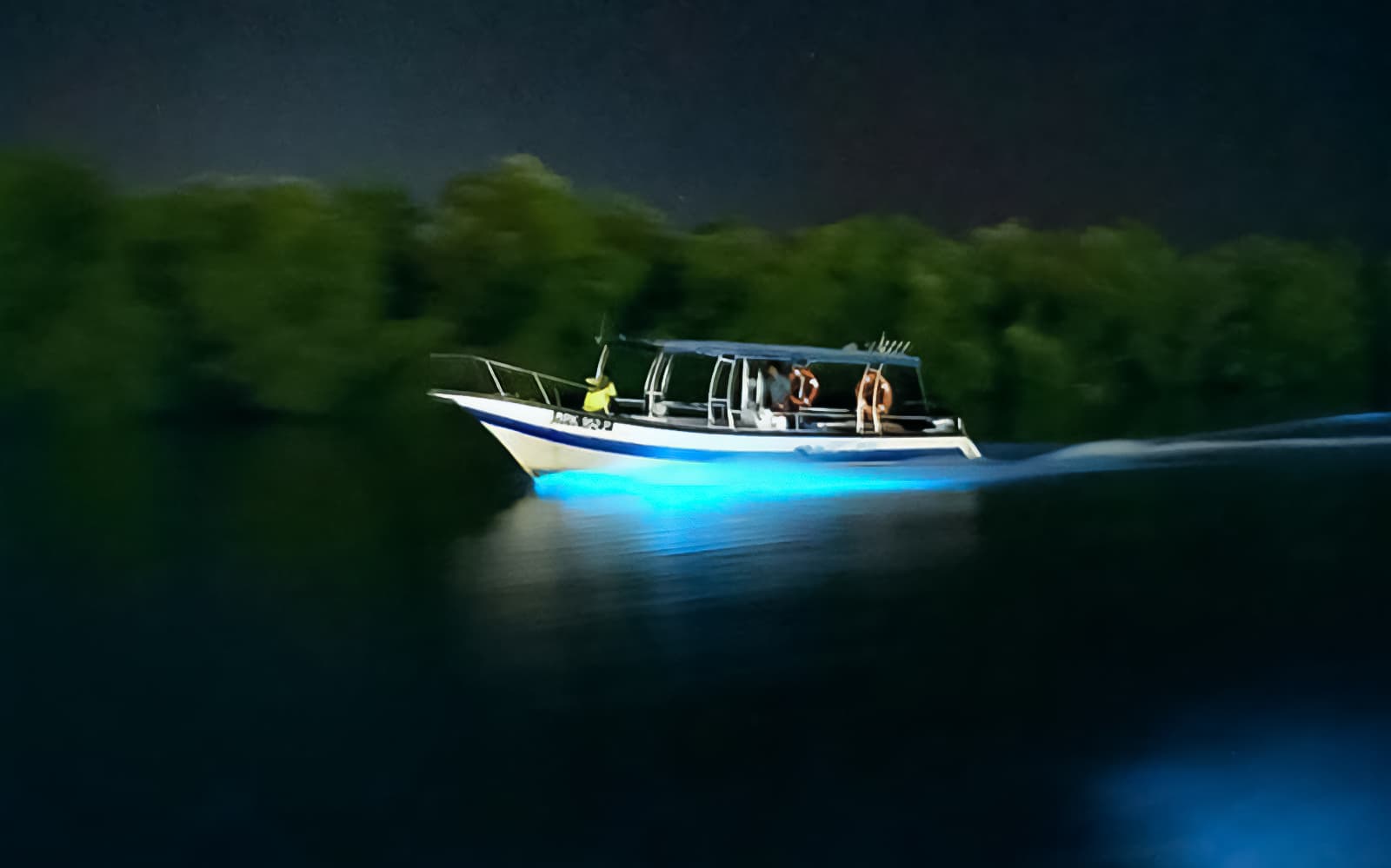 Blue Tears Experience in Kuala Selangor tickets in Selangor - Attractions | TickYourList