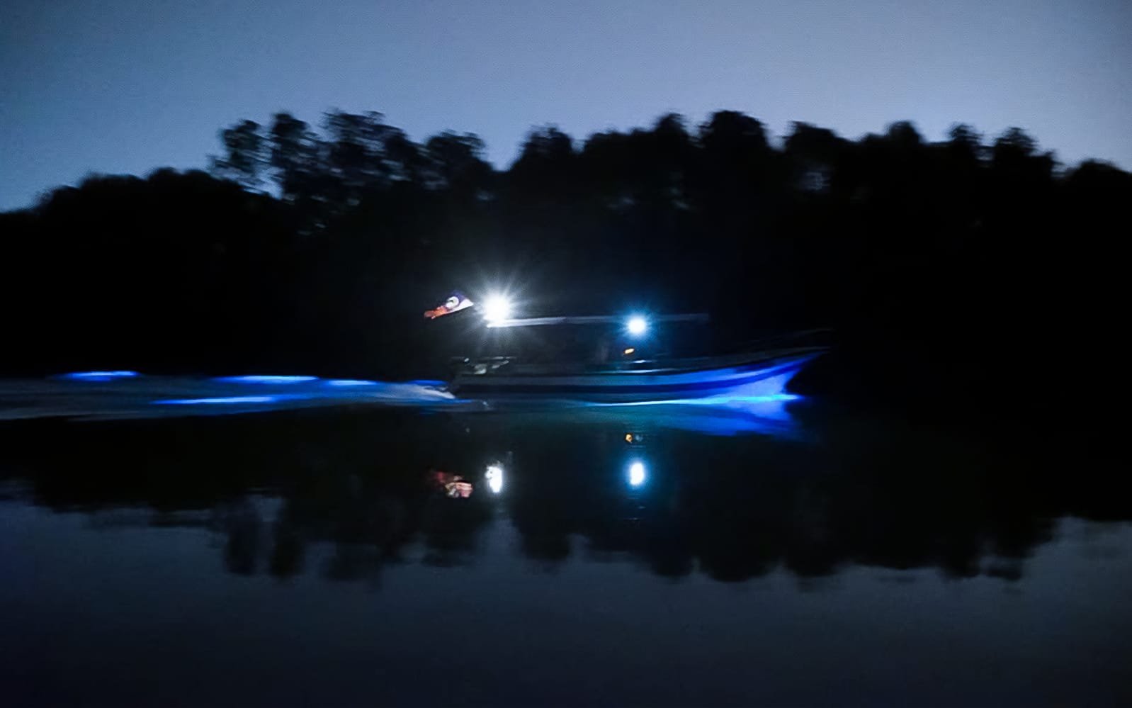 Blue Tears Experience in Kuala Selangor tickets in Selangor - Highlights | TickYourList