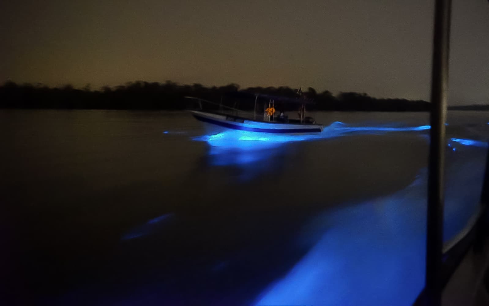 Blue Tears Experience in Kuala Selangor tickets in Selangor - Full Experience | TickYourList
