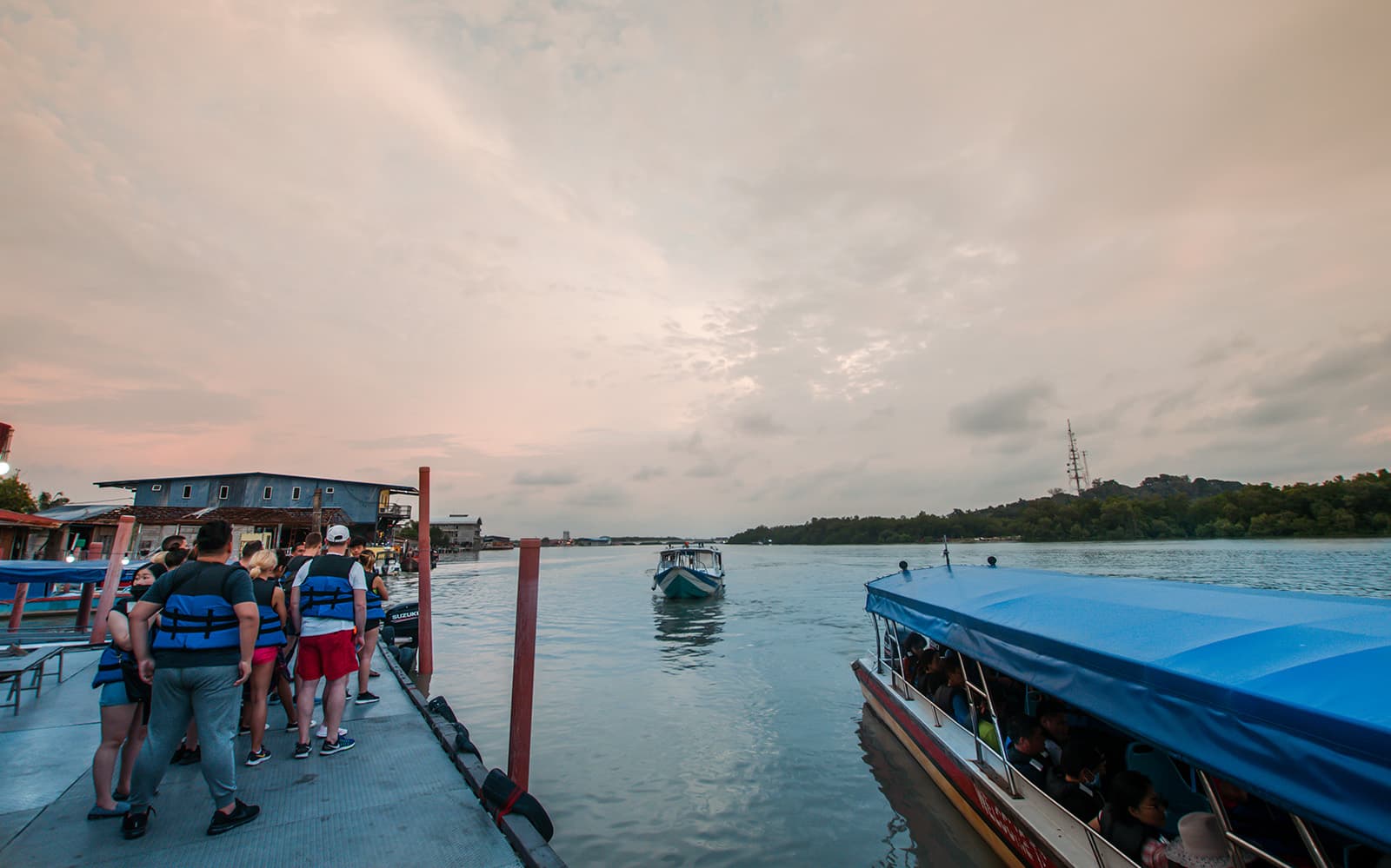 Kuala Selangor Fireflies Night Tour with Seafood Dinner tickets in Selangor - Full Experience | TickYourList