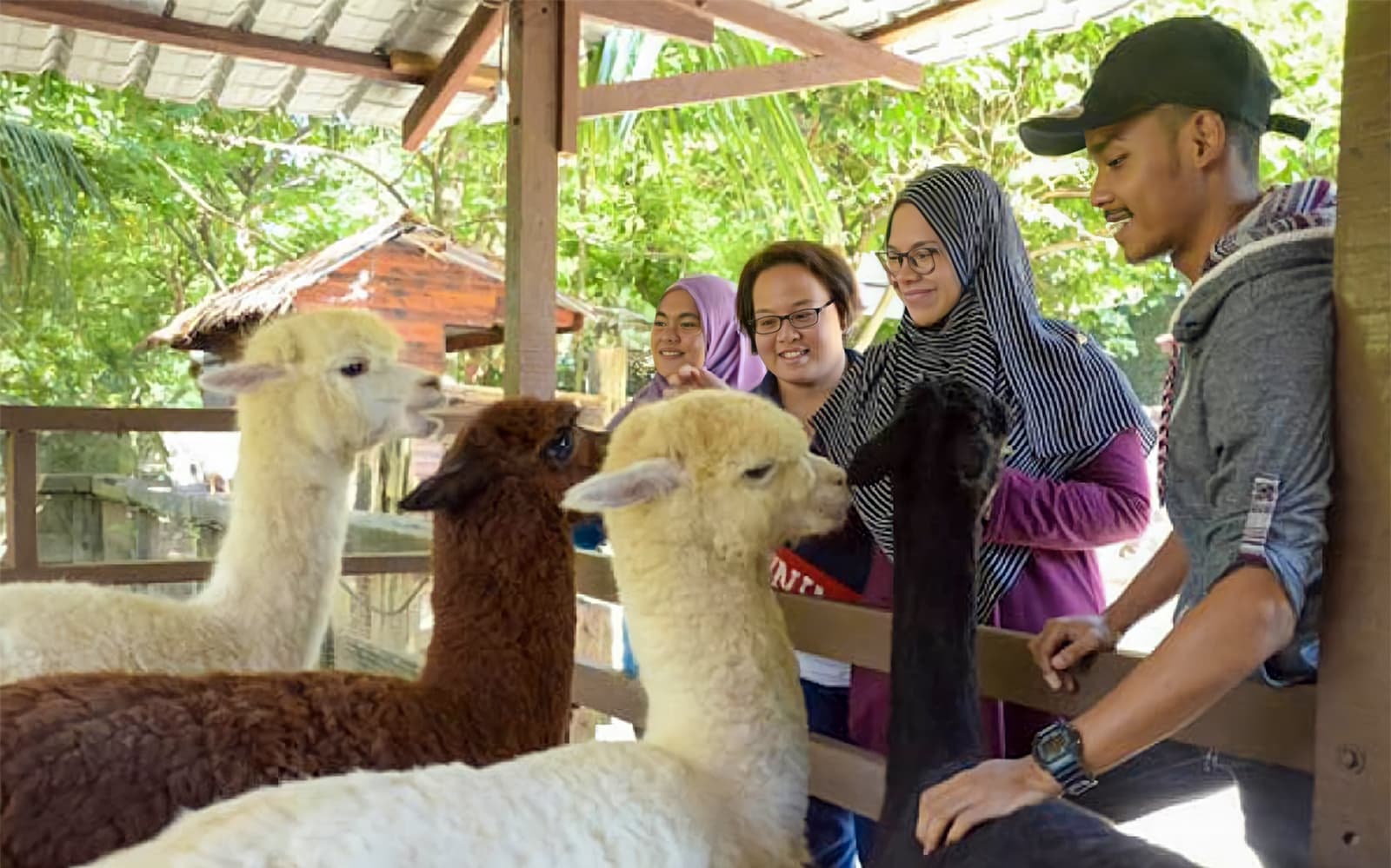 Farm In The City Tickets in Selangor - Activities | TickYourList