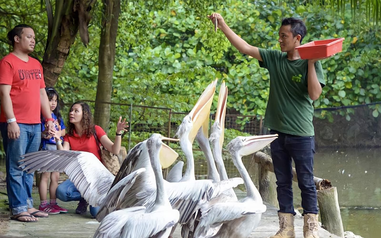 Farm In The City Tickets in Selangor - Highlights | TickYourList
