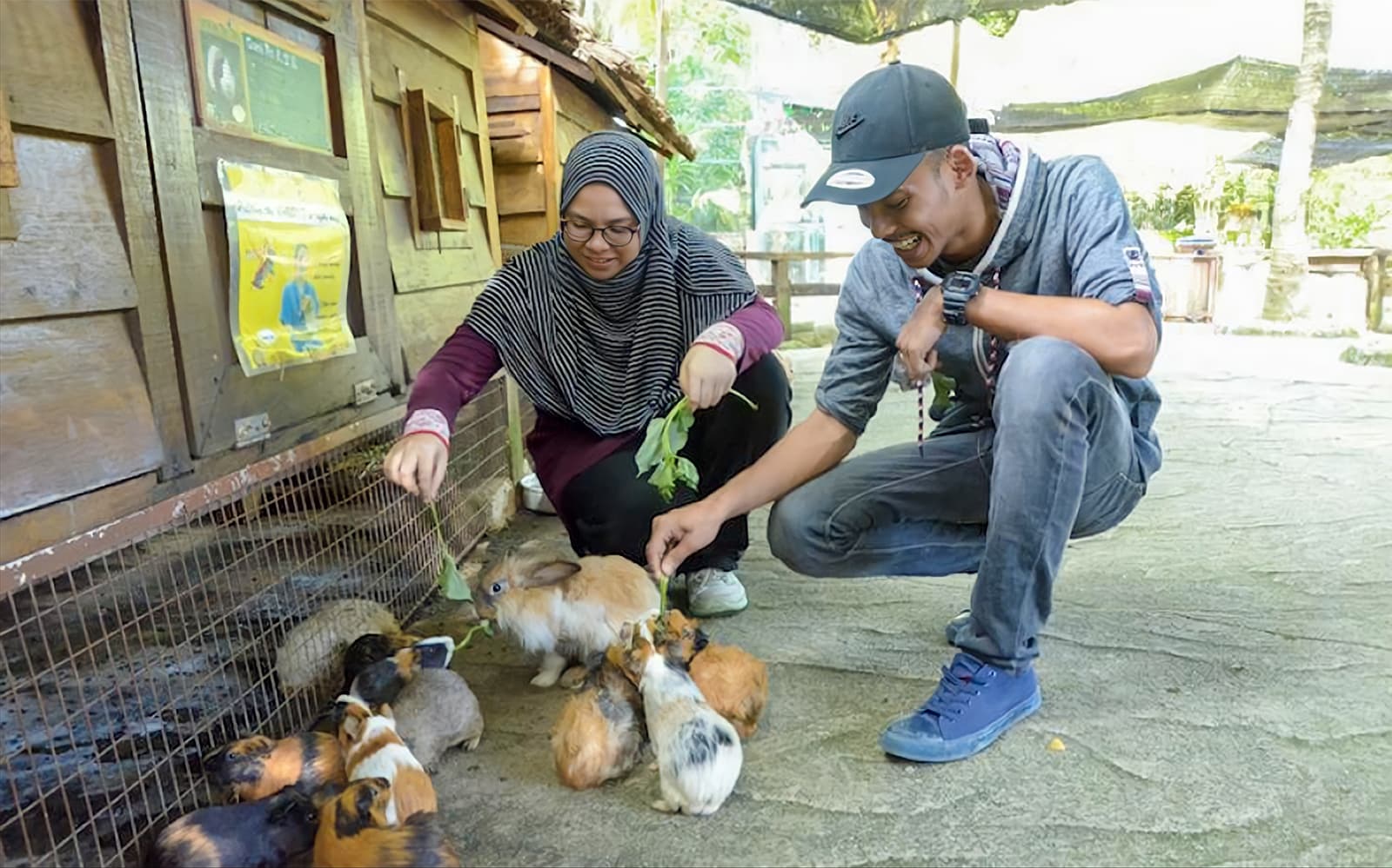 Farm In The City Tickets in Selangor - Features | TickYourList