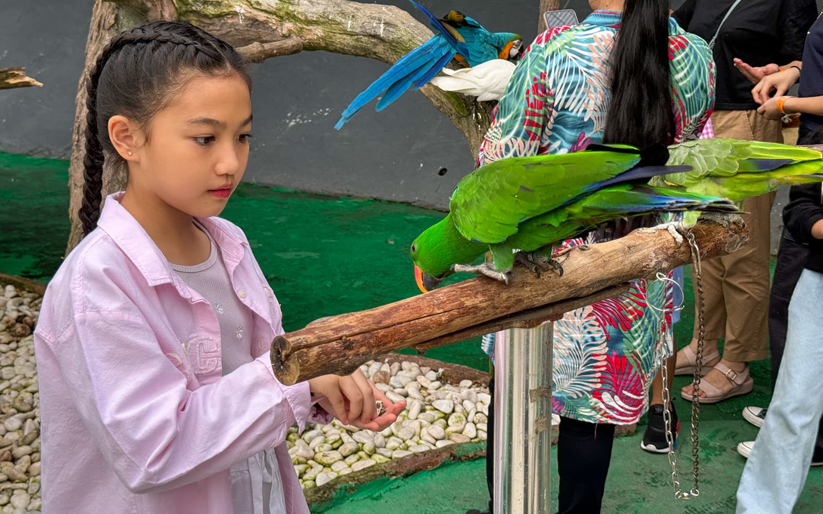 99 Wonderland Park Entry Tickets in Selangor - Attractions | TickYourList
