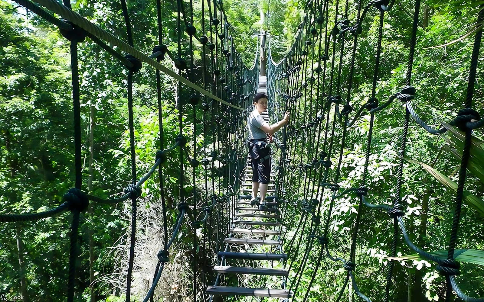 Skytrex Adventure Sungai Congkak Kuala Lumpur Tickets in Selangor - Attractions | TickYourList