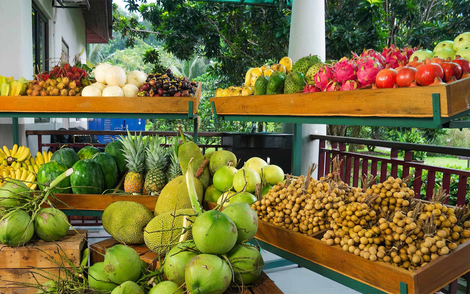 Tickets to Selangor Fruit Valley in Selangor - Activities | TickYourList