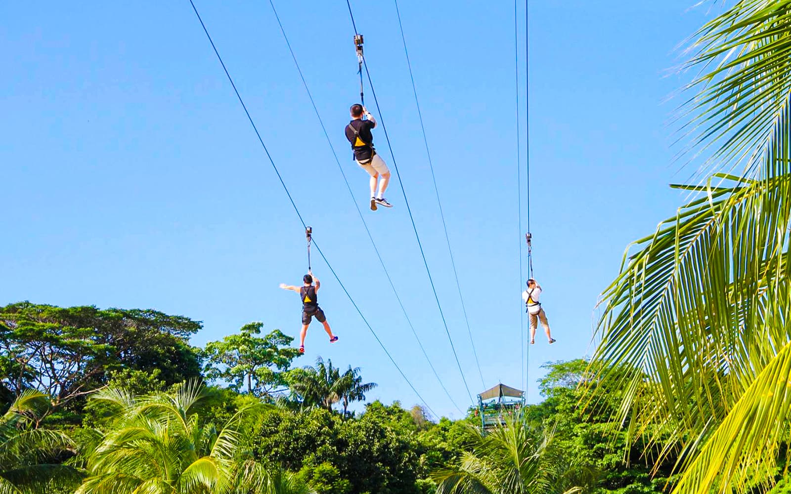 Mega Adventure Sentosa Tickets: Zip, Climb & Jump in Singapore - Highlights | TickYourList