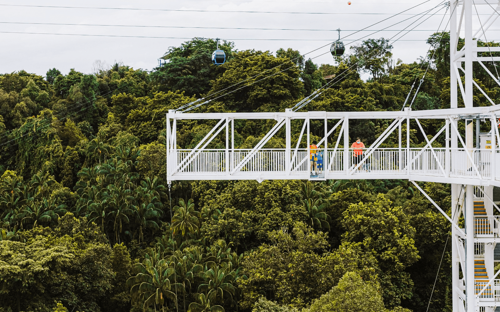 Tickets to Skypark Sentosa by AJ Hackett in Singapore - Attractions | TickYourList