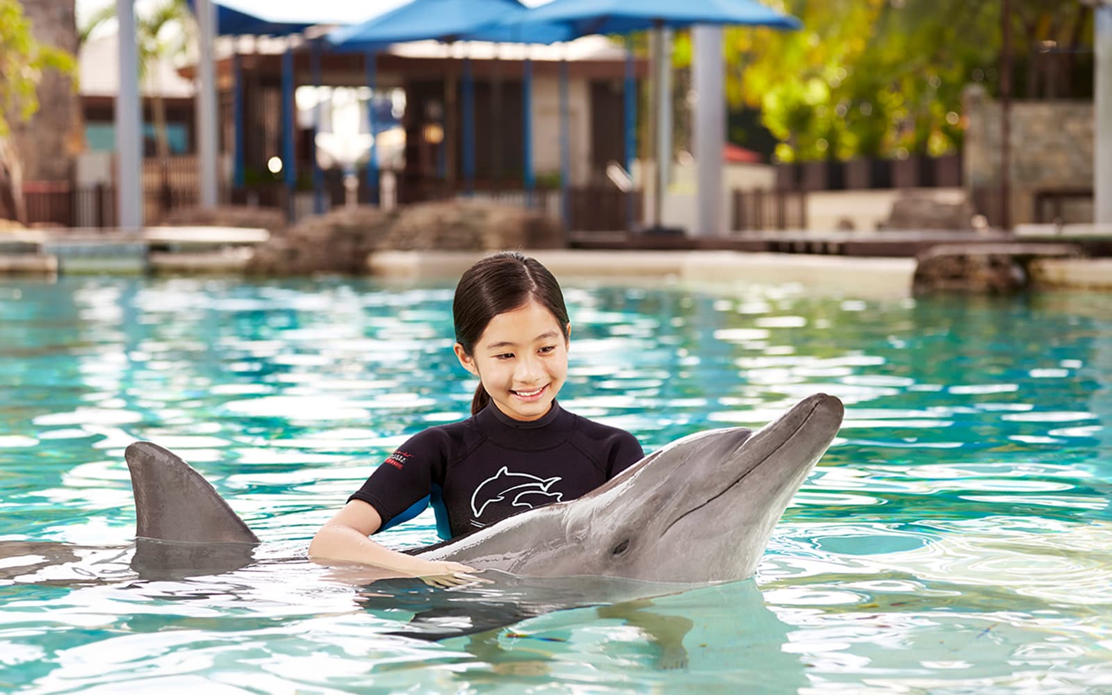 Singapore Oceanarium Tickets with Dolphin Moments