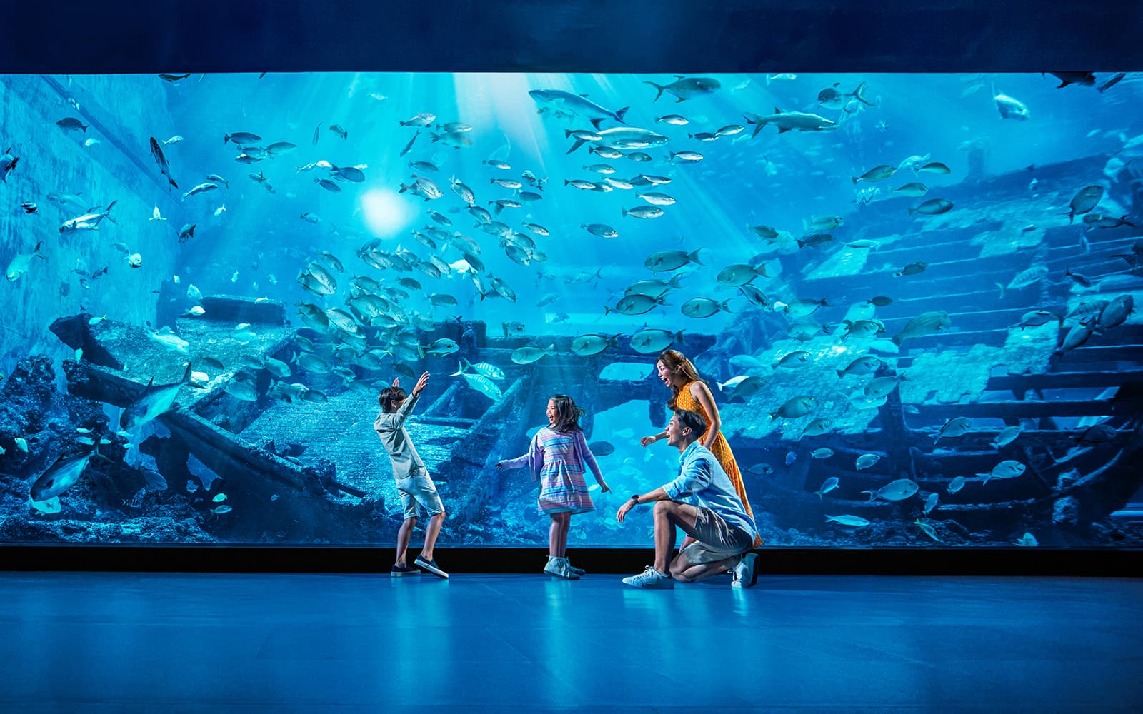Singapore Oceanarium Tickets with Dolphin Moments in Singapore - Features | TickYourList