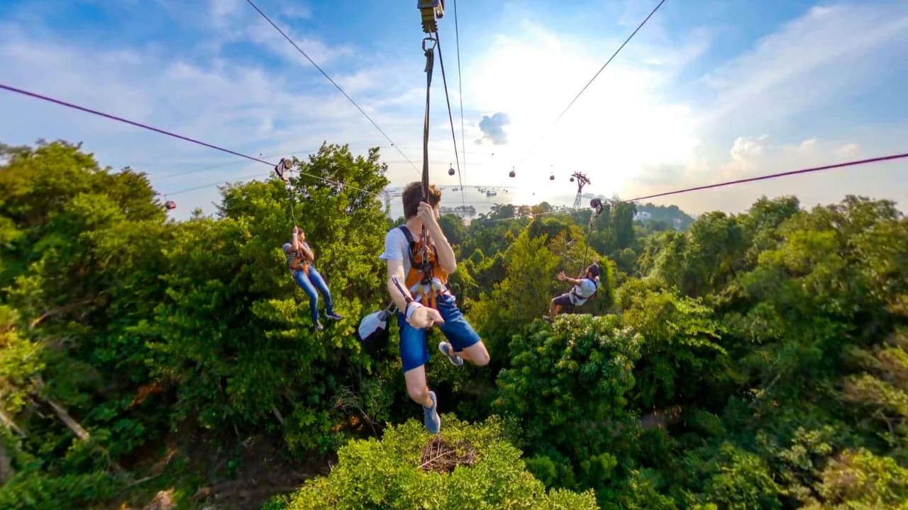 MegaZip Tickets at Mega Adventure Park Sentosa