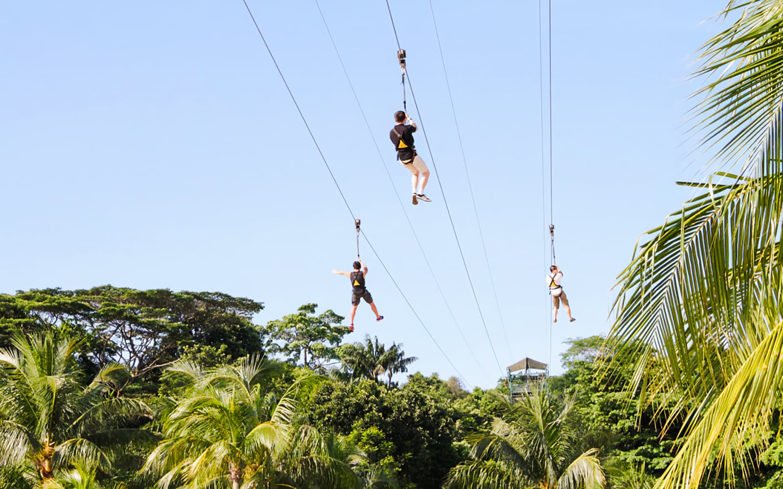 MegaZip Tandem Tickets at Mega Adventure Park Sentosa