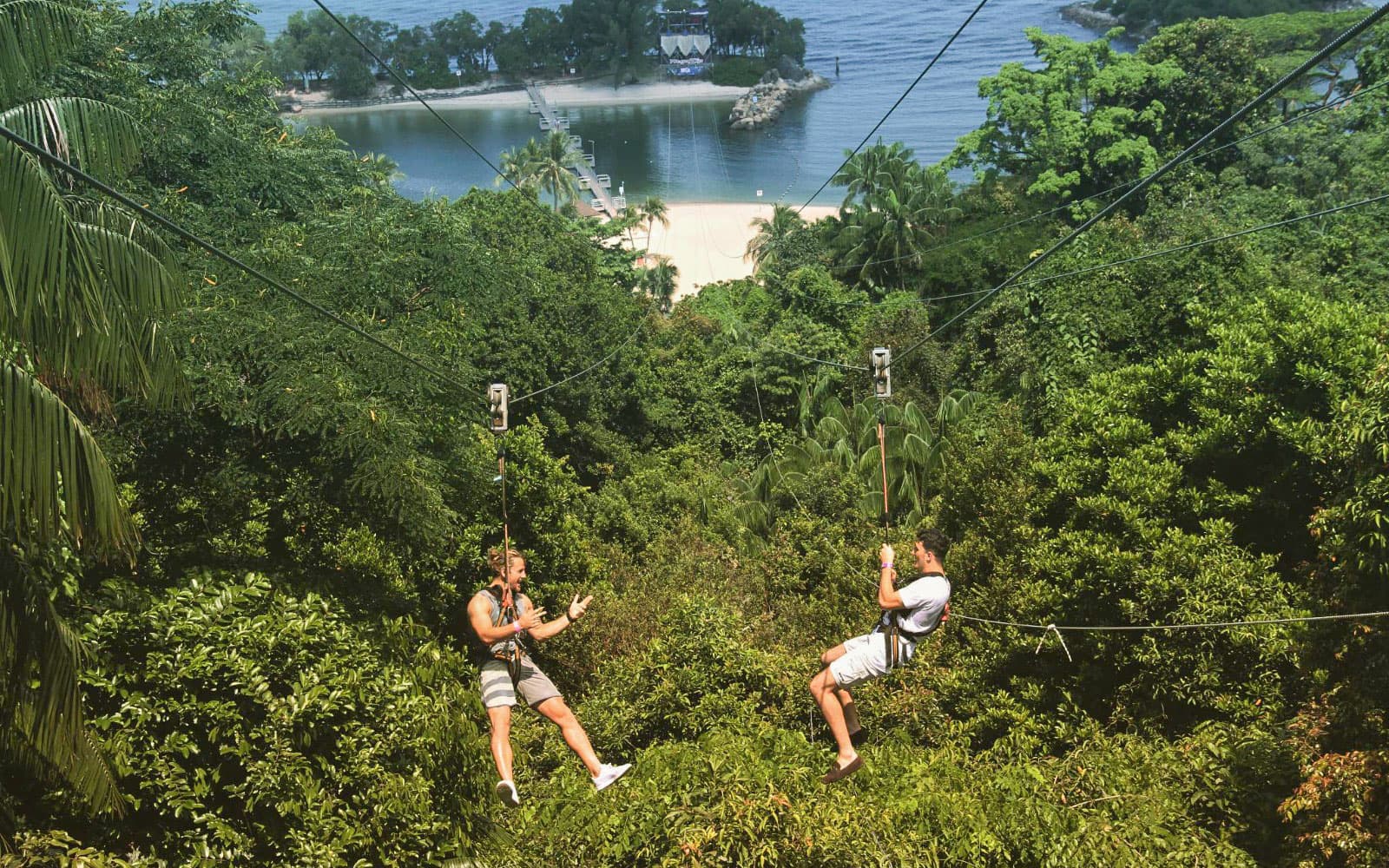 MegaZip Tandem Tickets at Mega Adventure Park Sentosa in Singapore - Activities | TickYourList