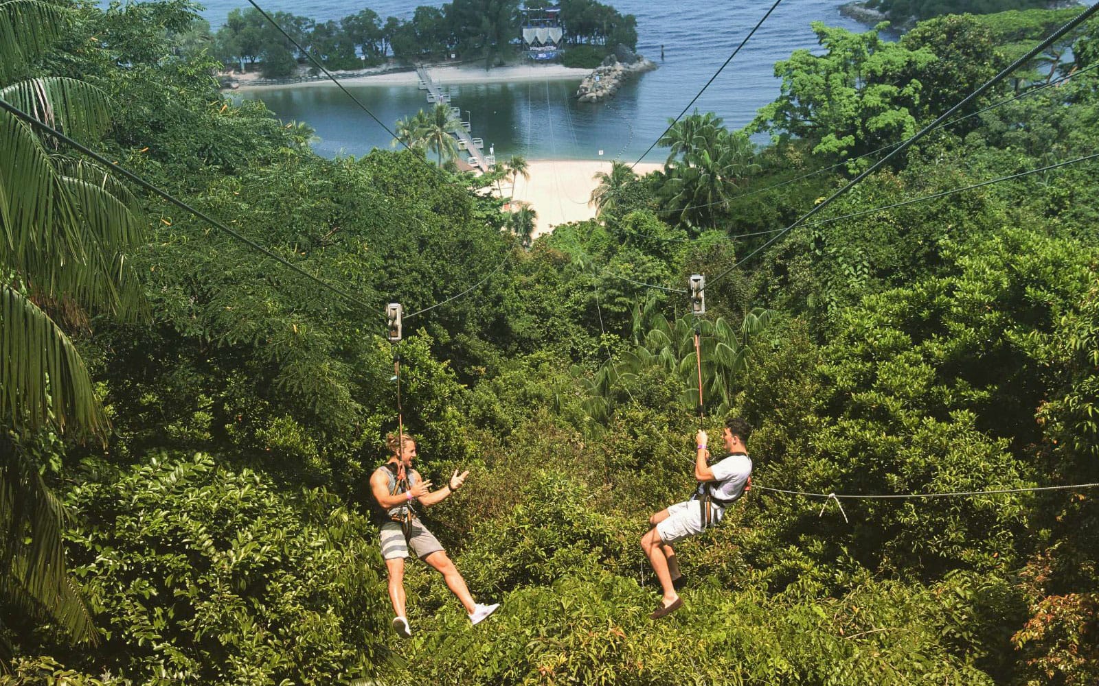 MegaZip Tandem Tickets at Mega Adventure Park Sentosa in Singapore - Activities | TickYourList