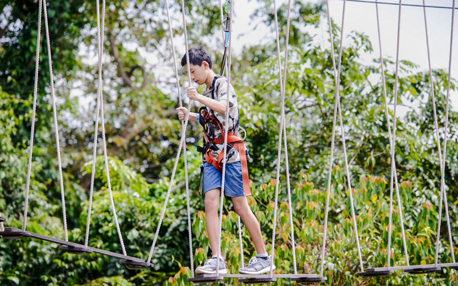 MegaZip Tandem Tickets at Mega Adventure Park Sentosa in Singapore - Highlights | TickYourList