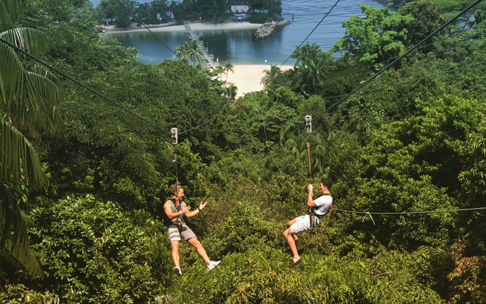 Combo: MegaZip Tickets at Mega Adventure Park Sentosa + Singapore Cable Car Sky Pass / Albatross Speedboat Adventures in Singapore - Attractions | TickYourList