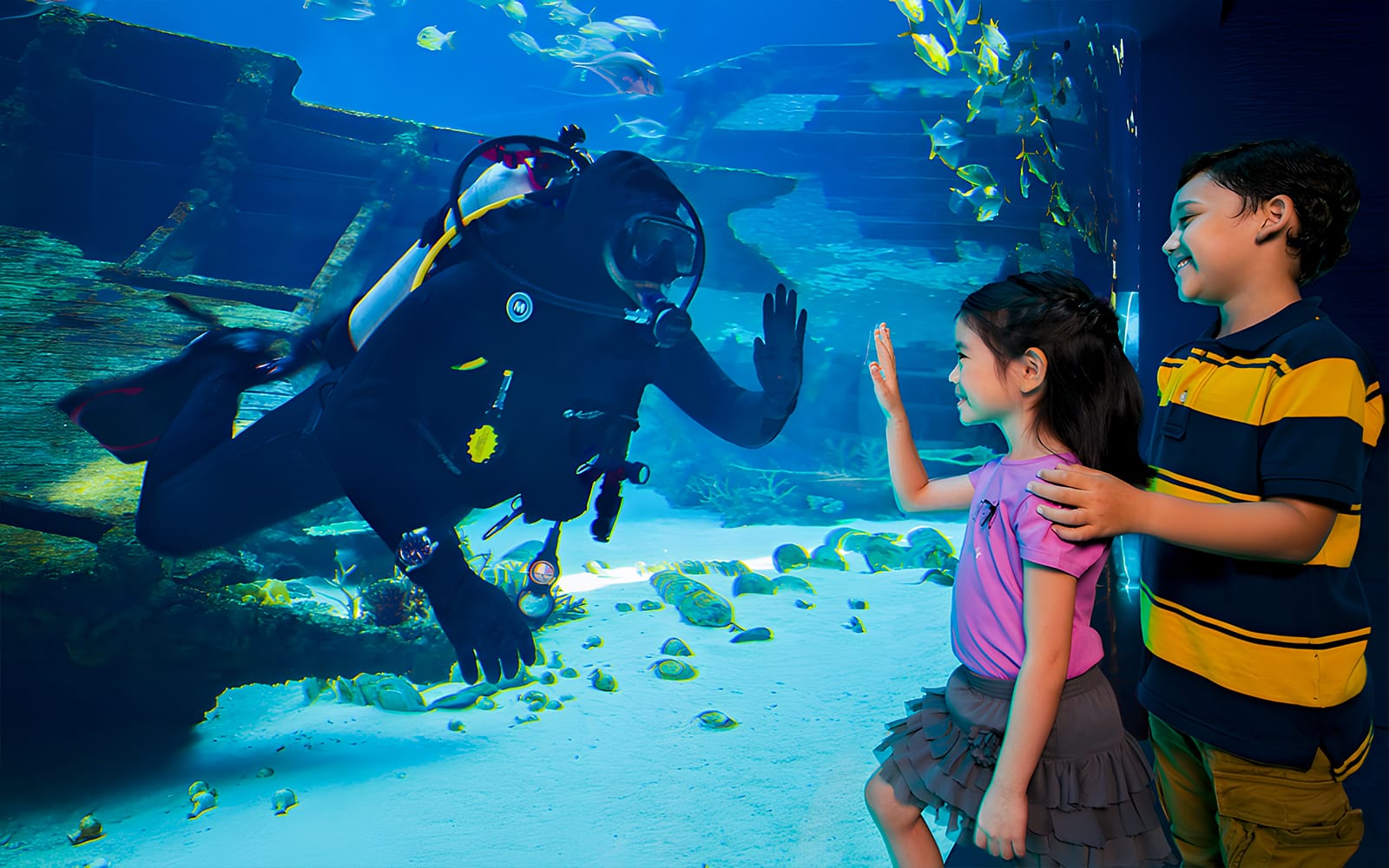 Singapore Oceanarium Dive Programs with Adventure Cove Waterpark Entry tickets in Singapore - Activities | TickYourList