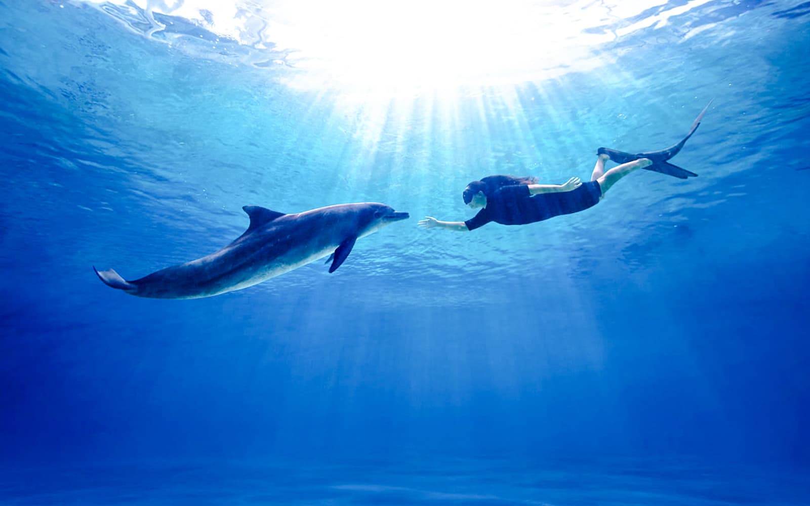 Singapore Oceanarium Dive Programs with Adventure Cove Waterpark Entry tickets in Singapore - Features | TickYourList