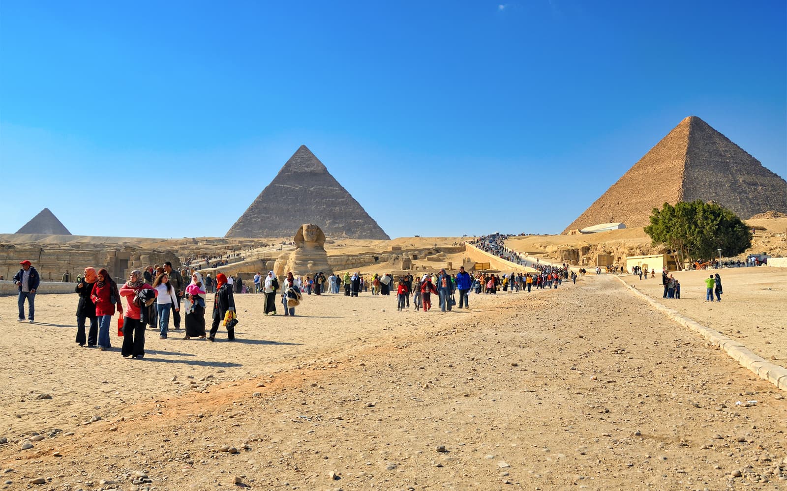 Quad Biking Tour of the Pyramids with Optional Camel Ride tickets in Cairo - Activities | TickYourList
