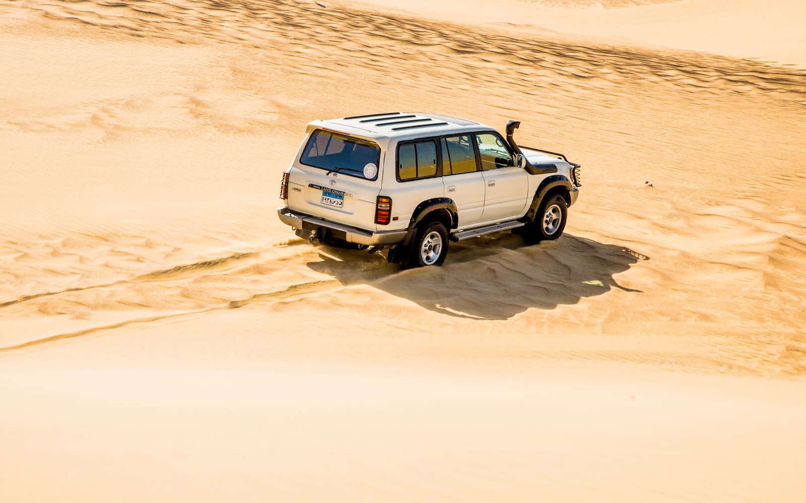 4x4 Desert Safari with Sandboarding & Camel Ride Tour from Cairo tickets in Cairo - Activities | TickYourList