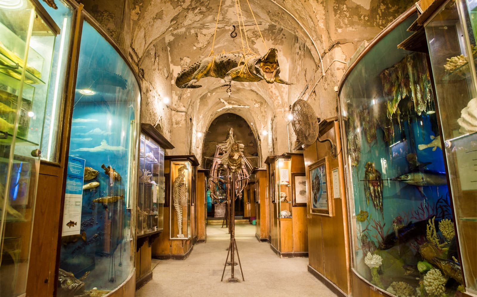 Full-Day Tour of Historical Alexandria from Cairo tickets in Cairo - Activities | TickYourList