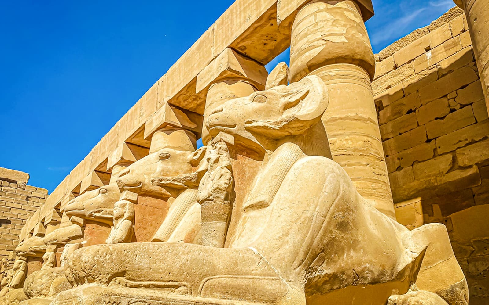 From Luxor: Half-Day East Bank Guided Tour with Karnak and Luxor Temple Visits and Lunch tickets in Luxor - Activities | TickYourList
