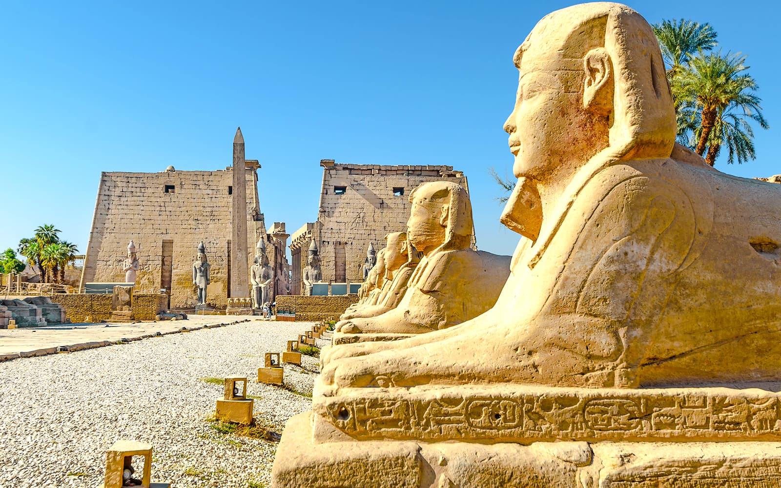 Valley of The Kings Guided Tour with Sunrise Hot Air Balloon & Round-Trip Hotel Transfers tickets in Luxor - Features | TickYourList