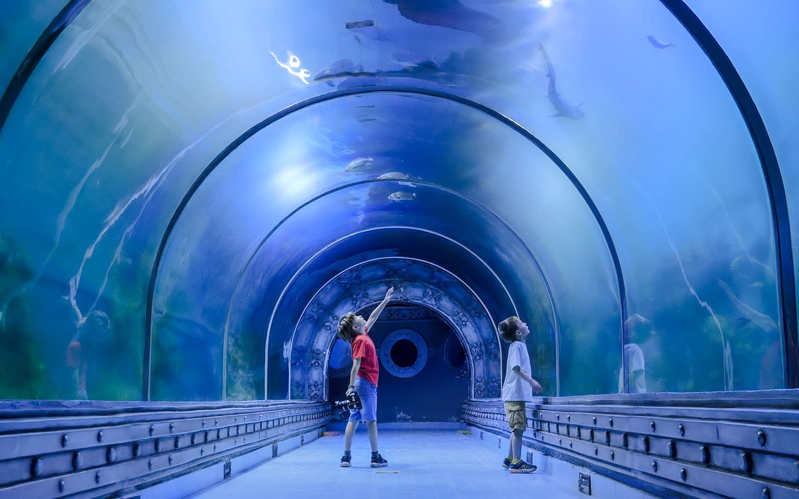 Hurghada Grand Aquarium Entry Tickets