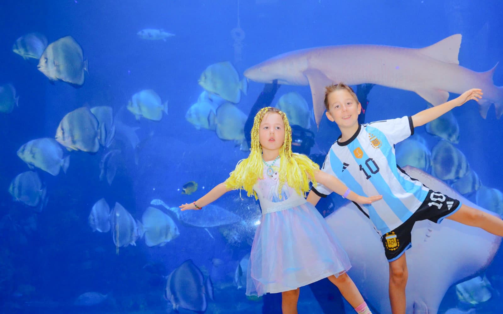 Hurghada Grand Aquarium Entry Tickets in Hurghada - Attractions | TickYourList