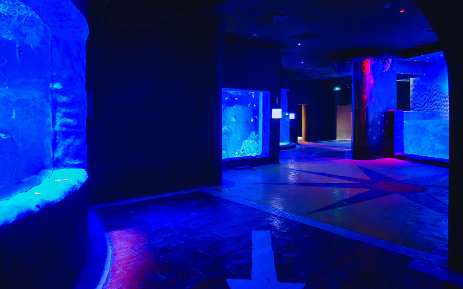 Hurghada Grand Aquarium Entry Tickets in Hurghada - Activities | TickYourList