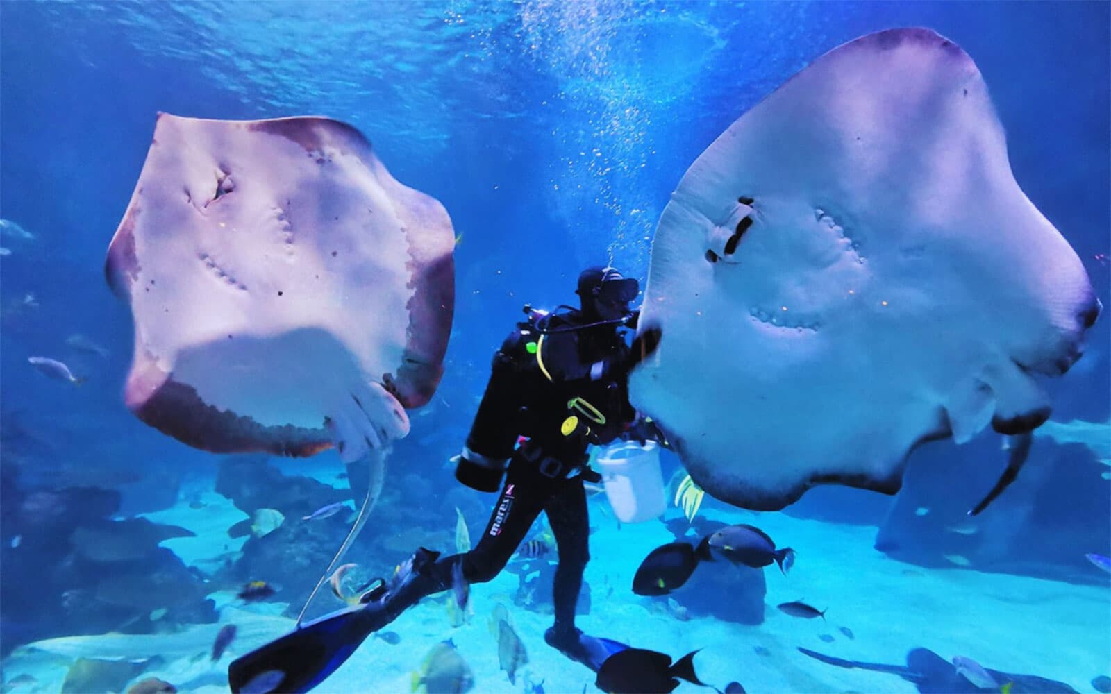 Hurghada Grand Aquarium Entry Tickets in Hurghada - Highlights | TickYourList